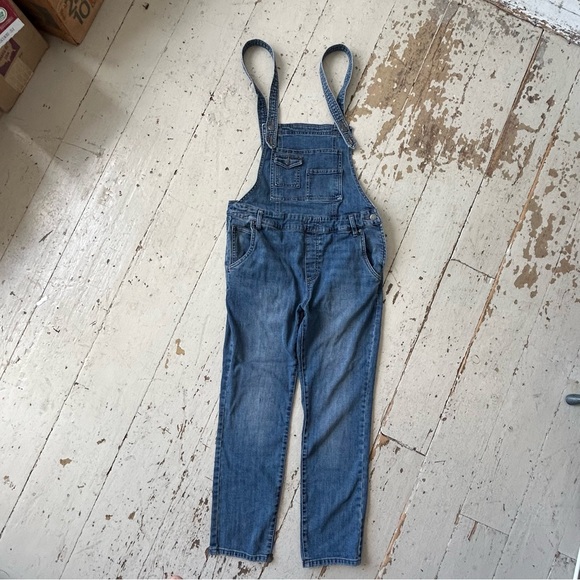 Free People Through the Woods Blue Jean Overalls - Picture 5 of 15